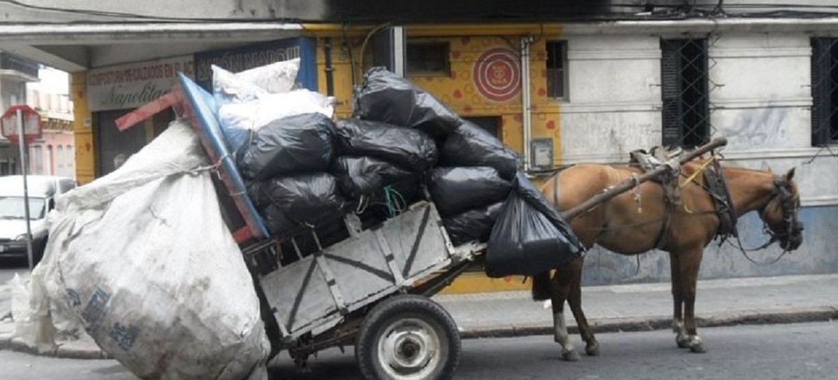 Caballos robados en La Plata: según una ONG, es "un negocio similar al del tráfico de drogas"