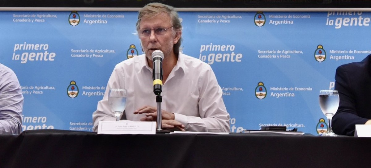 Gripe Aviar en Argentina: confirmaron un caso y el Gobierno nacional declaró la emergencia sanitaria