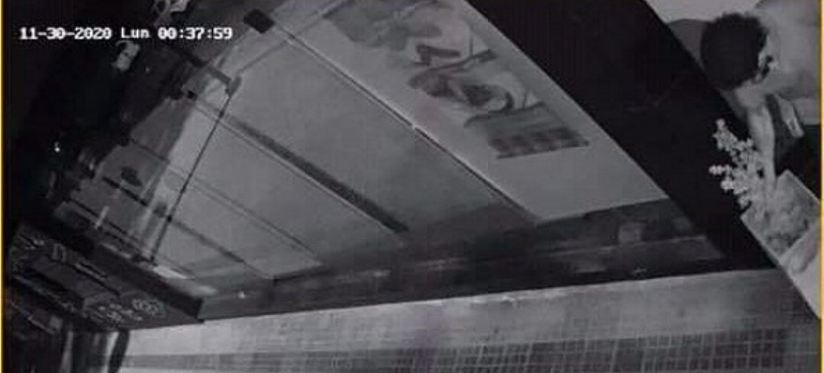 La Plata: ni los arbolitos se salvan de los ladrones