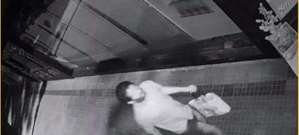 La Plata: ni los arbolitos se salvan de los ladrones