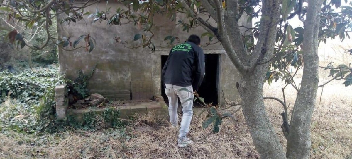 Querían festejar con drogas en Junín: 15 kilos de marihuana para el Día de la Primavera