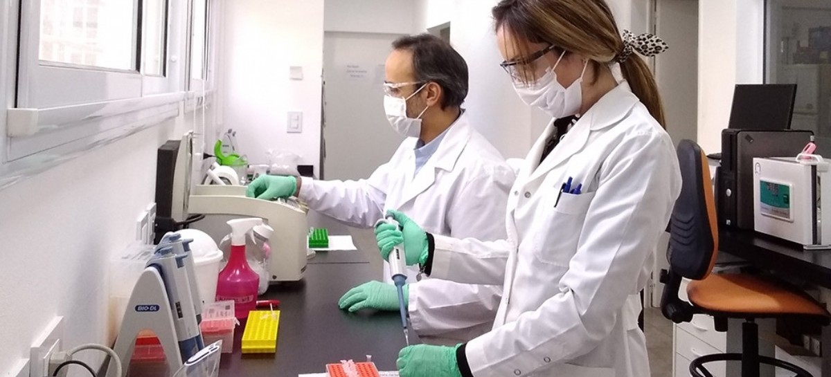 Coronavirus: el Gobierno nacional confirmó 198 muertes y 8.771 nuevos contagios en las últimas 24 hs