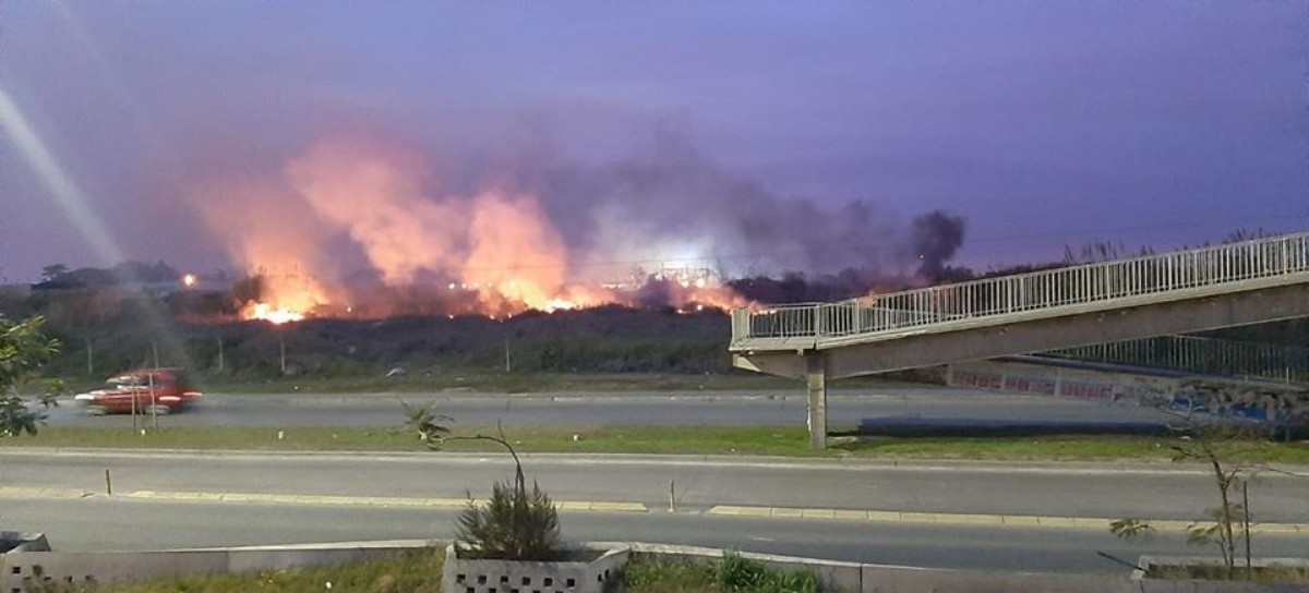 Organización ambientalista denuncia que hay incendios intencionales en reservas del Conurbano