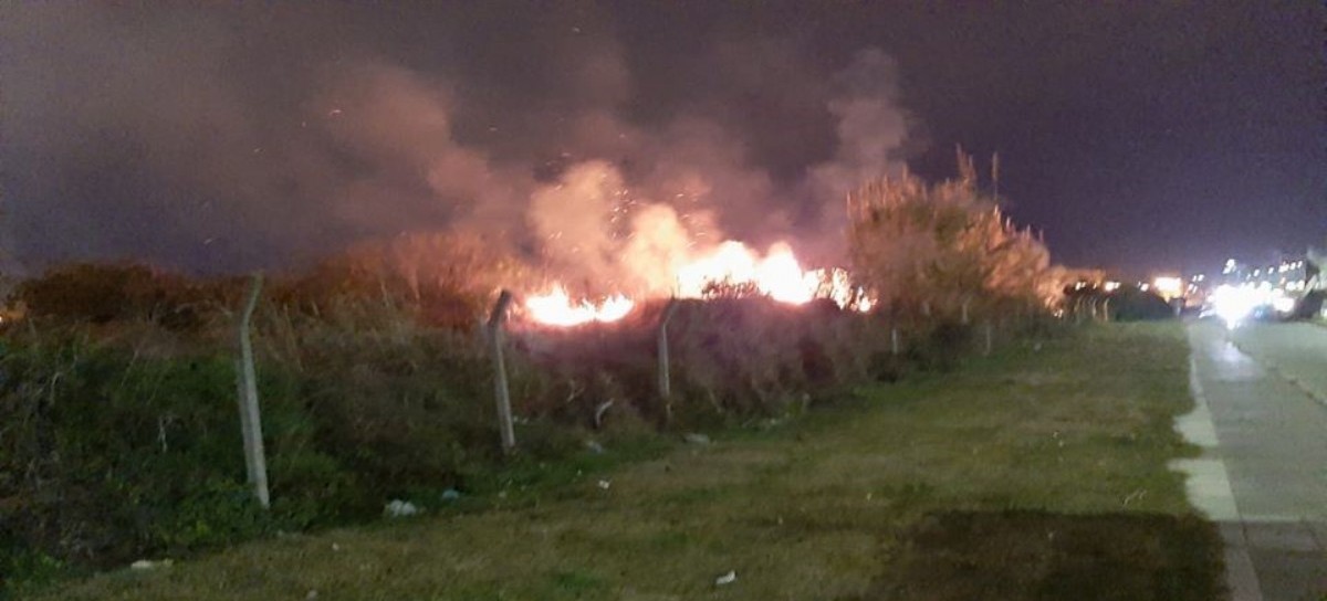 Organización ambientalista denuncia que hay incendios intencionales en reservas del Conurbano