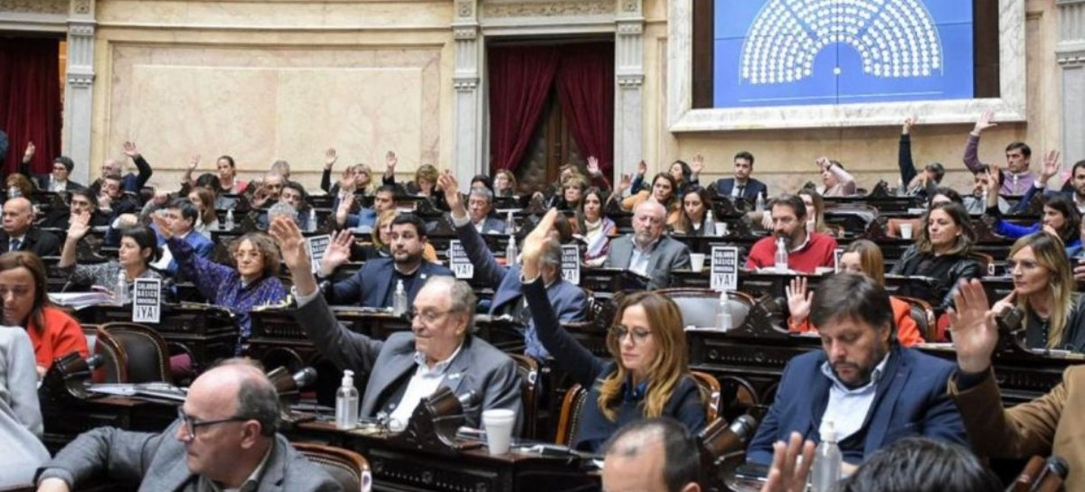 Diputadas y diputados nacionales del Frente de Todos repudiaron expresiones golpistas