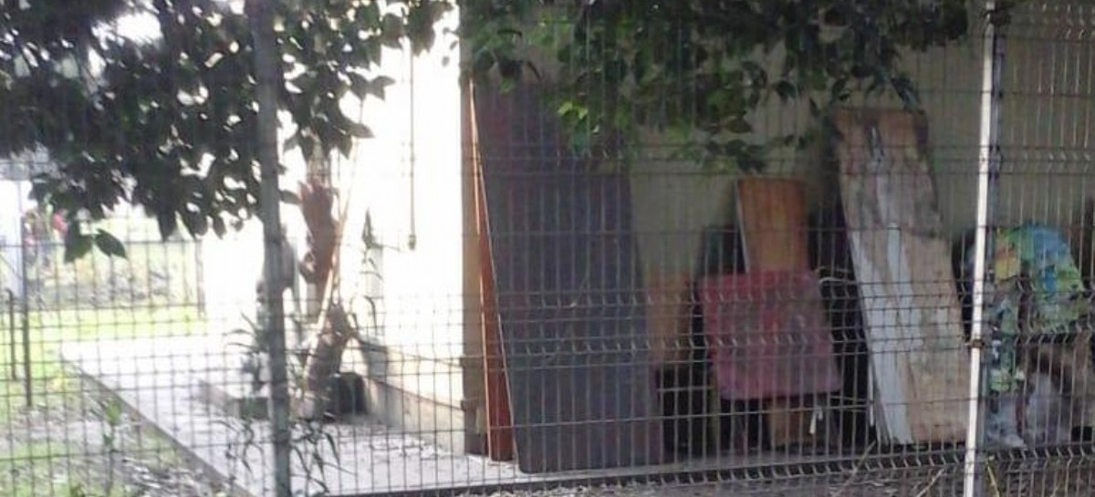 Todo sigue igual en La Plata: la casa que perteneció a Pedro Benoit, a la deriva y sin cuidado