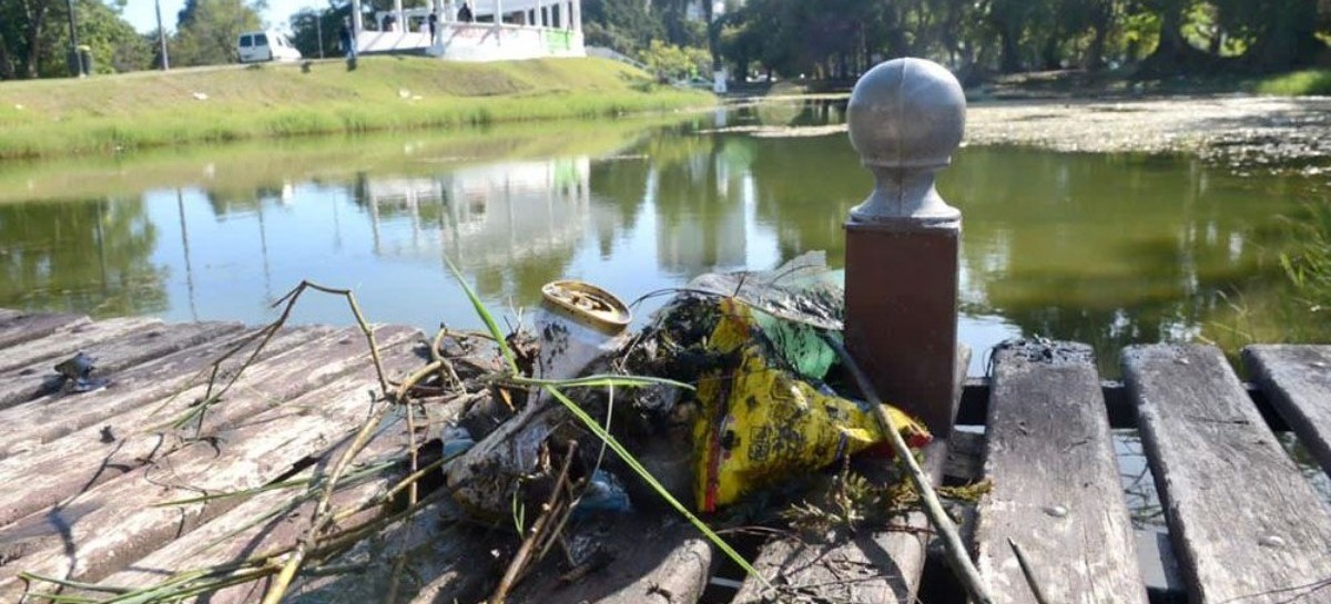Parque Saavedra de La Plata: la mutilación y el abandono, lamentables postales de un sitio clásico