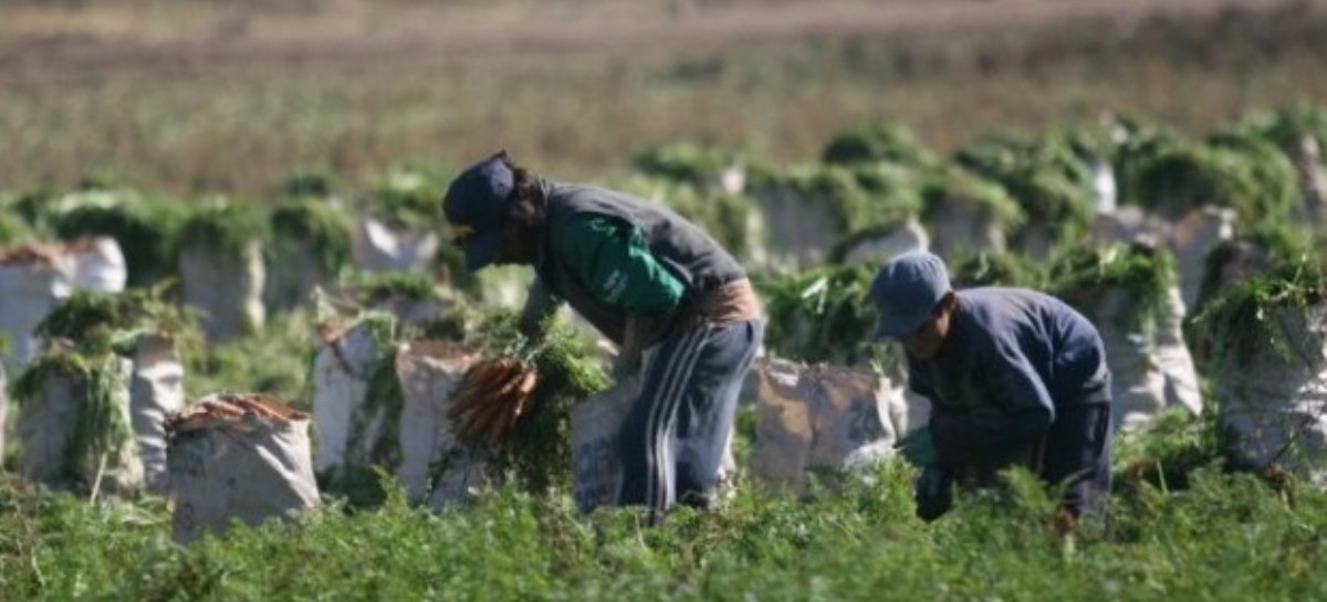 Tandil: rescataron a dos hombres que dijeron ser víctimas de trata laboral