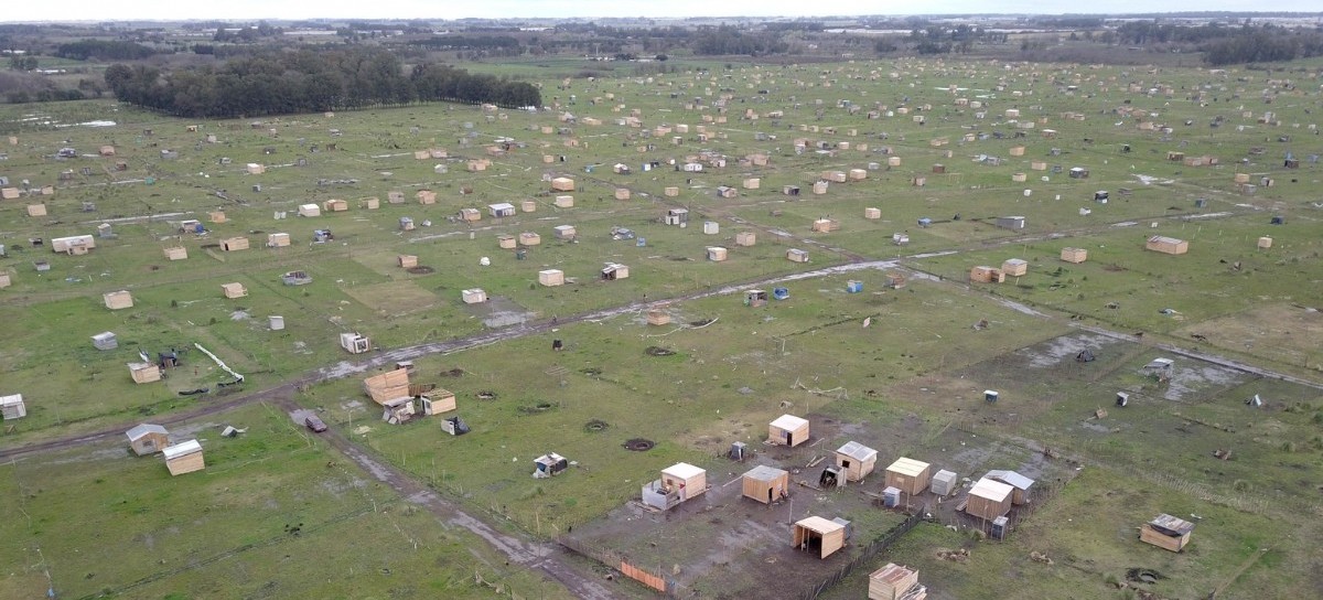 La ambigua preocupación de Garro por los "ocupantes" del predio que utilizaba el Club de Planeadores