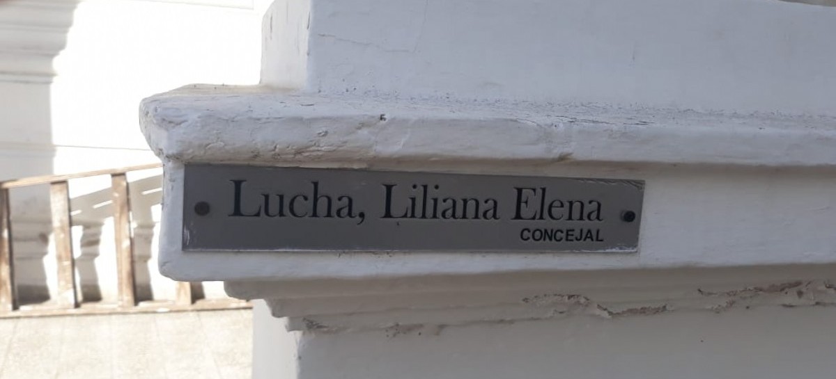 Concejalas de La Plata: una disputa lingüística que terminó chocando con sus propias placas