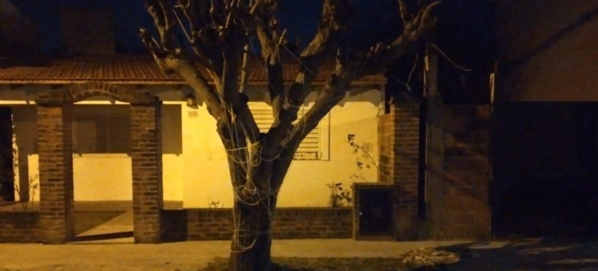 La Plata: un joven quiso robar en la casa de un policía y se encontró con un feroz perro Pitbull