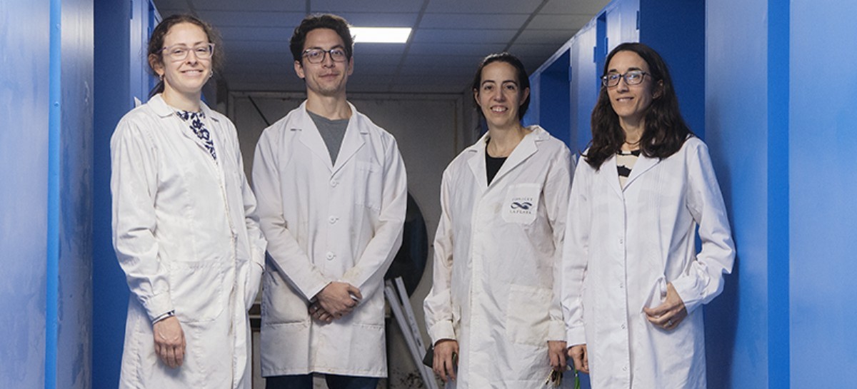 Uñas en alerta: la UNLP investiga los daños producidos por secadores de esmalte