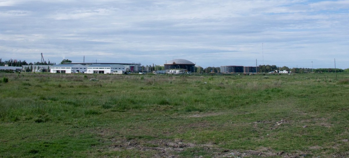 La Universidad Nacional de La Plata y Berisso acordaron crear un nuevo bosque