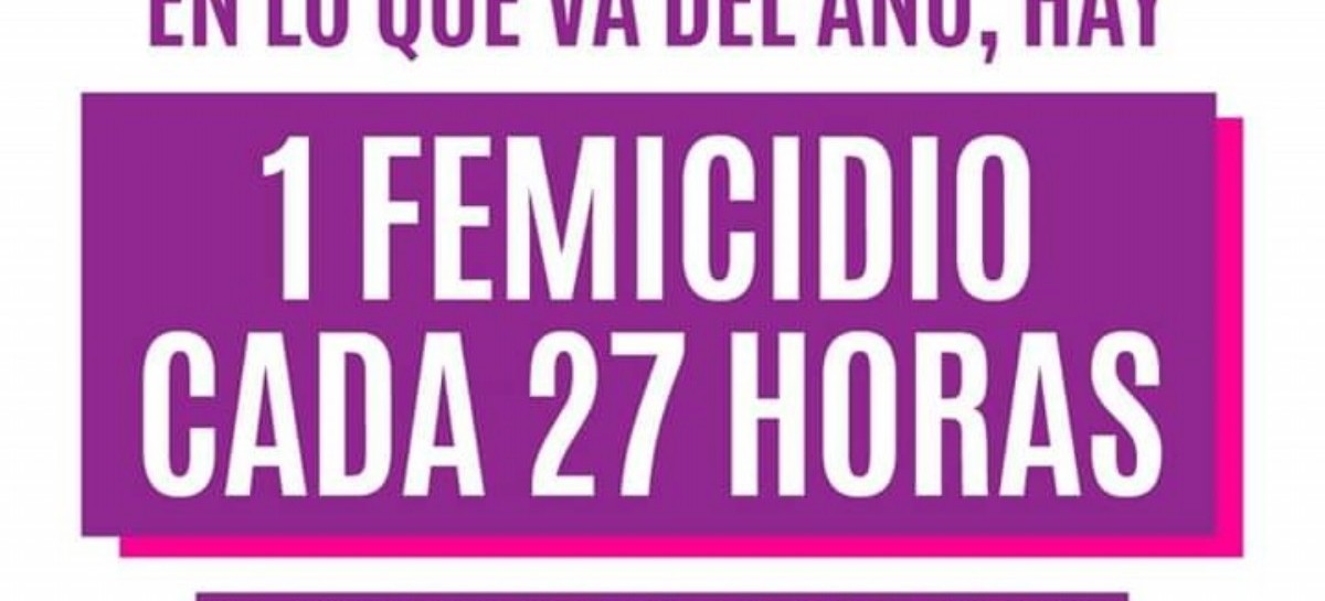 -AUDIO- "La policía y la justicia no tienen perspectiva de género", dijo referente del INADI