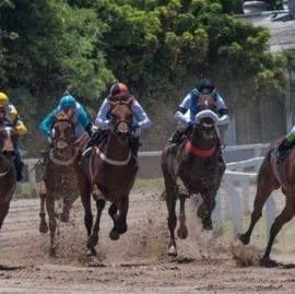 Turf: transmisión de carreras sólo por Internet