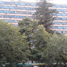 Carta Abierta: trabajadores de Infraestructura bonaerense piden una audiencia al "futuro Gobierno"