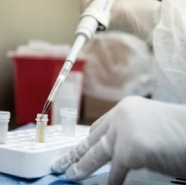Coronavirus: el Gobierno nacional confirmó 429 muertes y 8.782 nuevos contagios en las últimas 24 hs