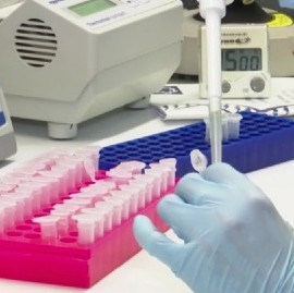 Coronavirus: el Gobierno nacional confirmó 278 muertes y 12027 nuevos contagios en las últimas 24 hs