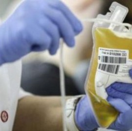 Donación de plasma o sangre: no son impedimentos la identidad de género u orientación sexual