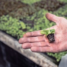 Crearon un "Banco de Insumos Agropecuarios" para el desarrollo de productores bonaerenses