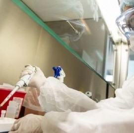 Coronavirus: el Gobierno nacional confirmó 185 muertes y 11892 nuevos contagios en las últimas 24 hs