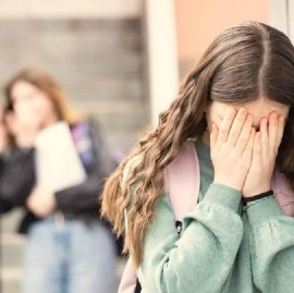 El Gobierno nacional inició una campaña contra el bullying