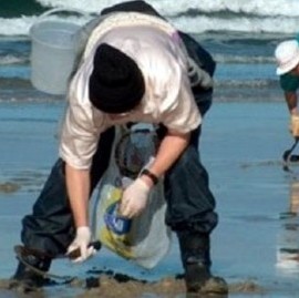 Para proteger la salud humana, prohíben la pesca de moluscos en amplio sector de la Costa bonaerense