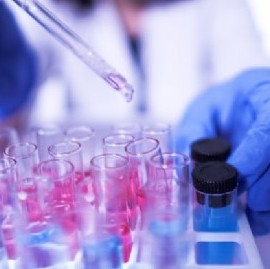 Coronavirus: el Gobierno nacional confirmó 253 muertes y 12259 nuevos contagios en las últimas 24 hs