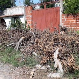Vecinos del barrio San Carlos de La Plata, olvidados por el municipio pese a reclamos de limpieza