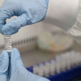 Coronavirus: el Gobierno nacional confirmó 118 muertes y 7.759 nuevos contagios en las últimas 24 hs