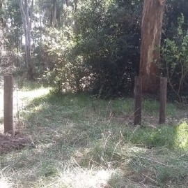 Algo huele mal en Punta Indio: preocupan tenebrosos contactos políticos, judiciales y policiales