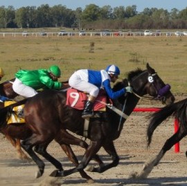 El Gobierno bonaerense aclaró que por el Coronavirus también suspendió las carreras de caballos