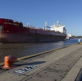 Un delfín amarillo dejó el Puerto La Plata y será reemplazado por un conocedor de neumáticos