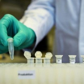 Coronavirus: el Gobierno nacional confirmó 110 muertes y 5.641 nuevos contagios en las últimas 24 hs