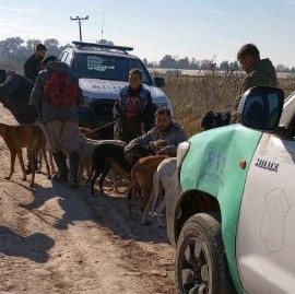 Cazadores cazados y llevados a la comisaría con sus perros galgos