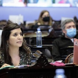 "Queremos evitar incendios intencionales con fines especulativos", dijo la diputada Daniela Vilar