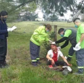 Insólito: dos policías bonaerenses quisieron robar una oveja de un campo, los golpearon y detuvieron