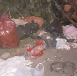 La Plata: Villa Elvira, localidad que en materia de limpieza está siendo olvidada por el municipio