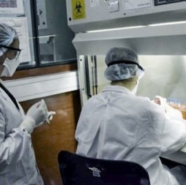 Coronavirus: el Gobierno nacional confirmó 364 muertes y 11807 nuevos contagios en las últimas 24 hs
