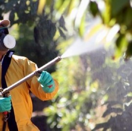 Por una resolución, no se podrá fumigar con agrotóxicos en lotes linderos a las escuelas bonaerenses