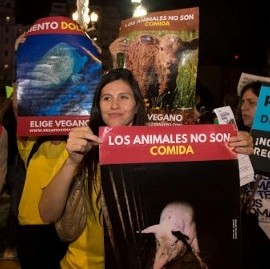 "21 Días Veganos": el desafío que proponen defensores de animales