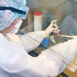 Coronavirus: el Gobierno nacional confirmó 137 muertes y 5.352 nuevos contagios en las últimas 24 hs