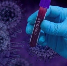 Coronavirus: el Gobierno nacional confirmó 262 muertes y 10684 nuevos contagios en las últimas 24 hs