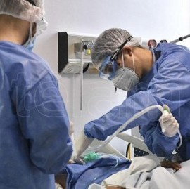 Confirmaron 561 muertes en Argentina, la cifra más alta desde que comenzó la Pandemia de Coronavirus