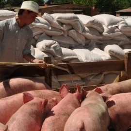 Respiran las Pymes agropecuarias bonaerenses: el Gobierno les prometió ayuda a través de un Plan