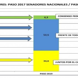 Comparativa de las PASO 2017 y 2019: Massa trasladó la totalidad de sus votos al Frente de Todos