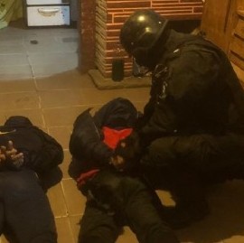 "Paraguayos de Springfield": mezcla de inmigración, invasión cultural y uno de los peores delitos