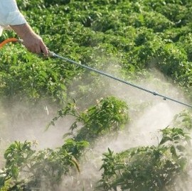 La Plata: advierten que el uso de agroquímicos no está regulado en la producción de alimentos