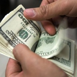 VIDEO: La estampida del dólar hace temblar la "arboleda" de la city platense
