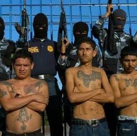 Las Maras: un especialista dice que se están activando en la provincia de Buenos Aires